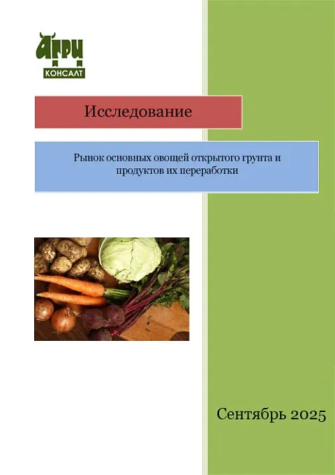 Рынок основных овощей открытого грунта и продуктов их переработки 