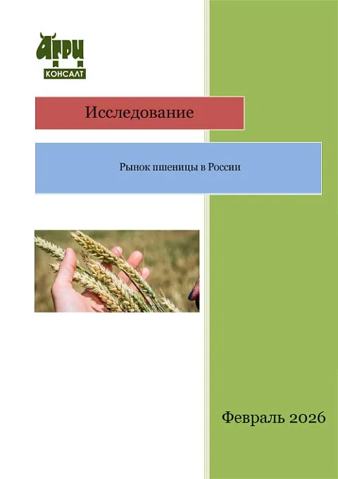 Рынок пшеницы в России