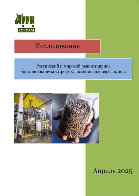 Российский и мировой рынок гаприна (протеин на метанотрофах): потенциал и перспективы
